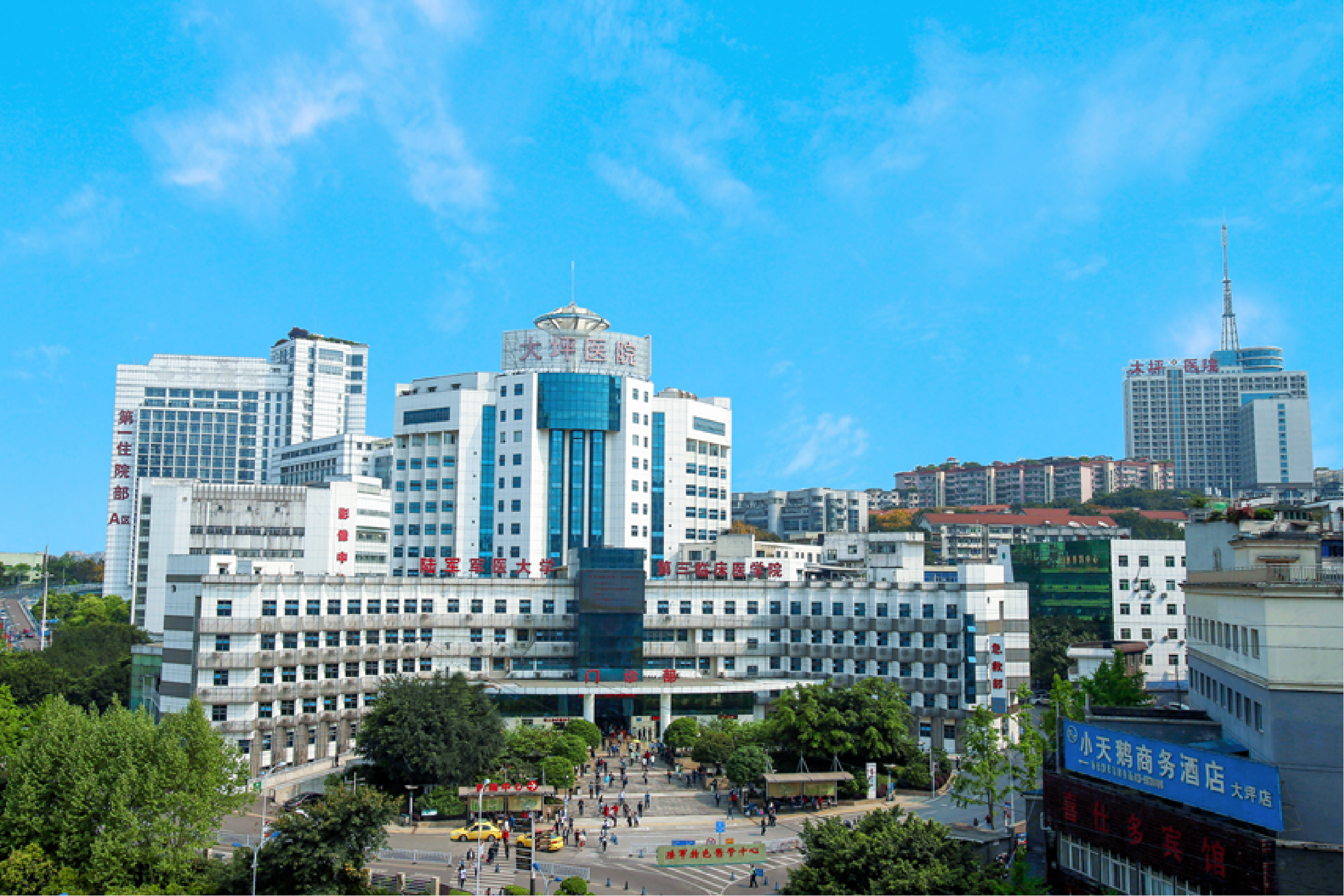 陆军特色医学中心（大坪医院）